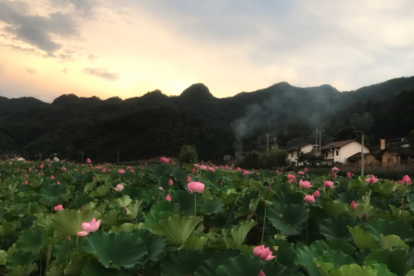 改个有意义的微信号id