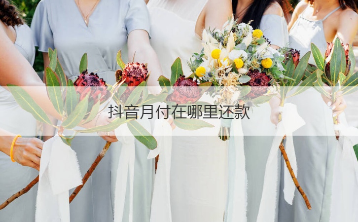抖音月付在哪里还款