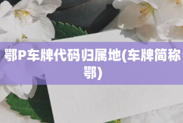 苏f是哪里的车牌