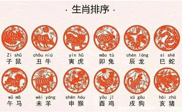 十二生肖排序