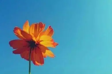 心态好格局大的微信名