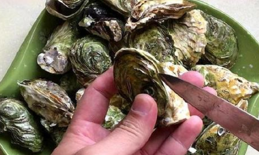 生蚝怎么开壳