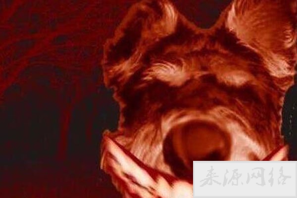 微笑狗事件原图为什么恐怖 背后的故事是这样的
