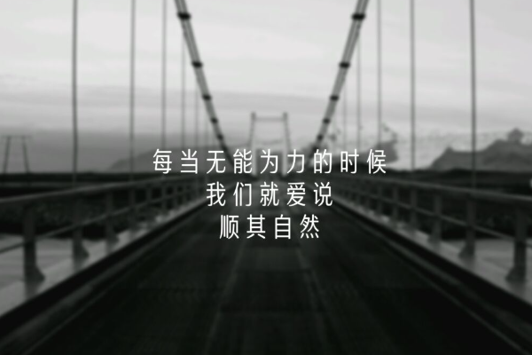 无能为力的意思