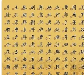 所有的姓氏大全