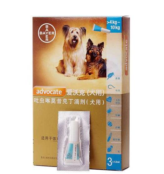 宠物驱虫哪家好