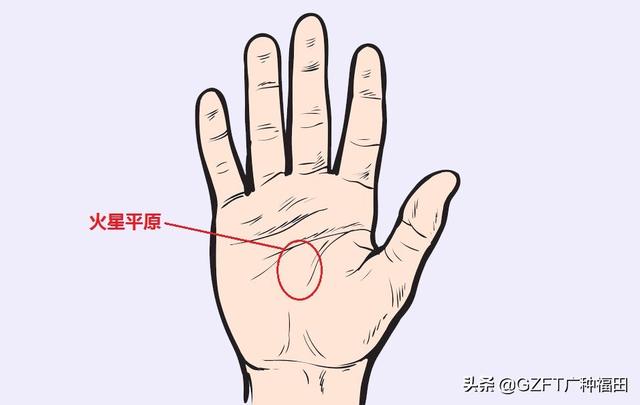 手相大师看手相（5分钟学会看手相）