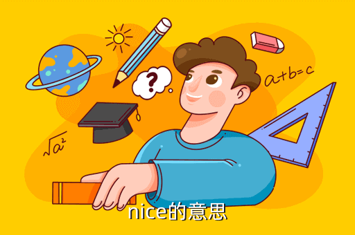niCe是什么意思