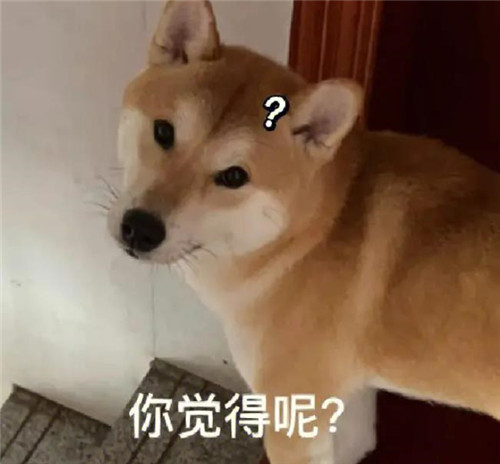 柴犬图片搞笑表情包