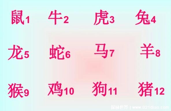 十二生肖排序