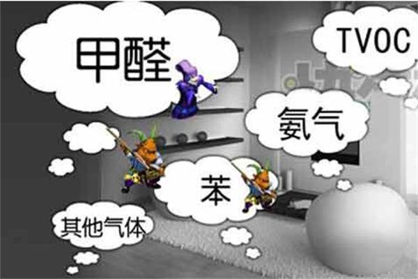 专业除甲醛公司真的有用吗