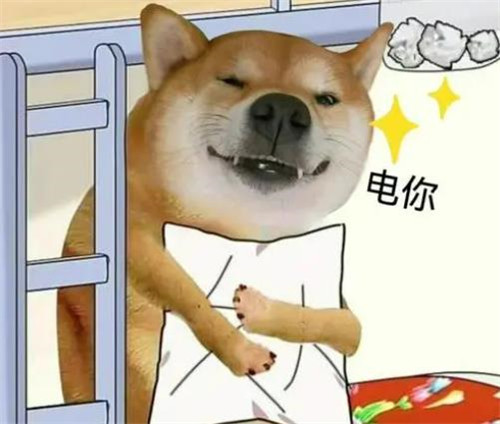 柴犬图片搞笑表情包