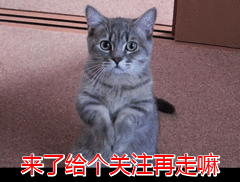 宠物驱虫哪家好