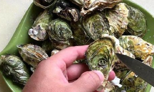 生蚝怎么开壳