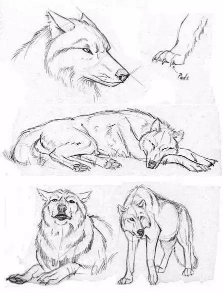 十种简笔画教程 简笔画教程一学就会