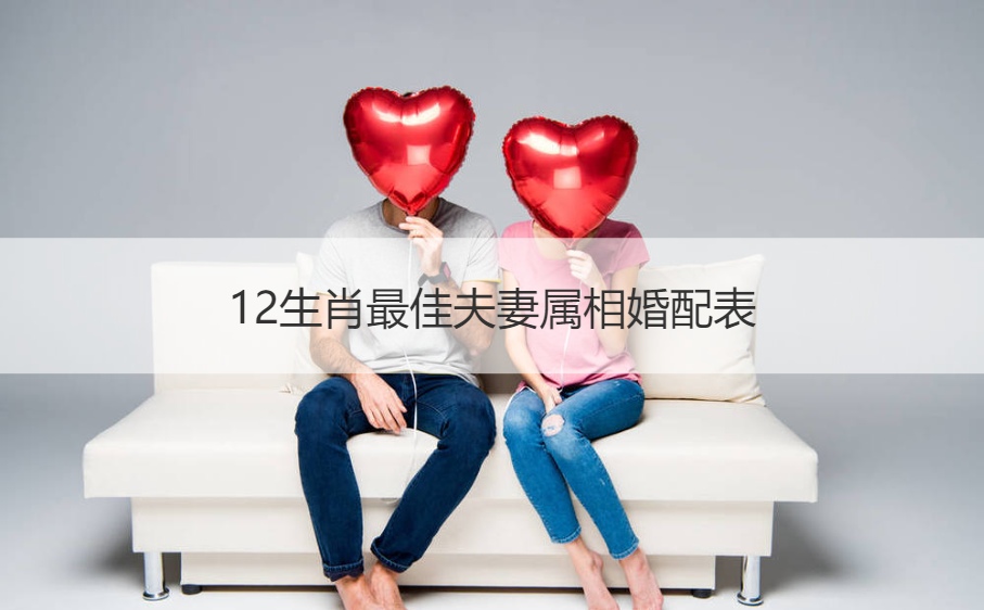 12生肖最佳夫妻配对