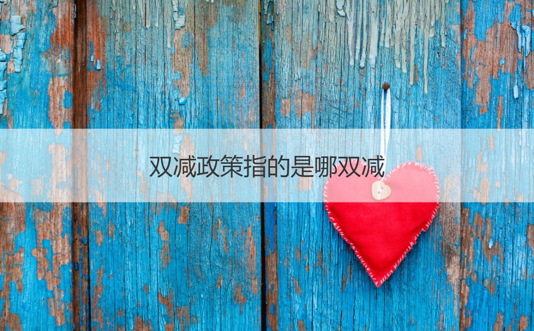 双减政策指什么