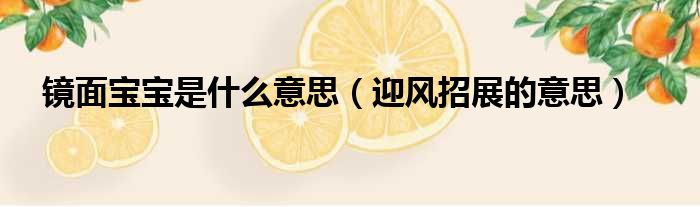 镜面宝宝是什么意思