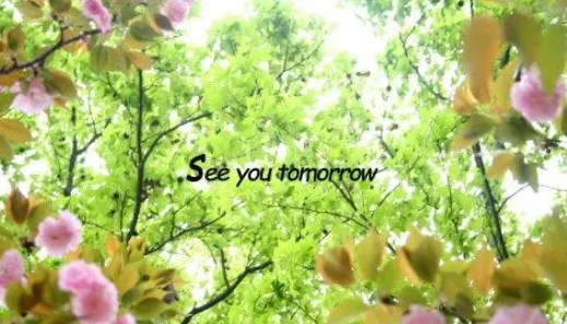 seeyoutomorrow什么意思中文