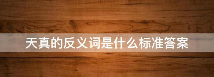 天真的反义词