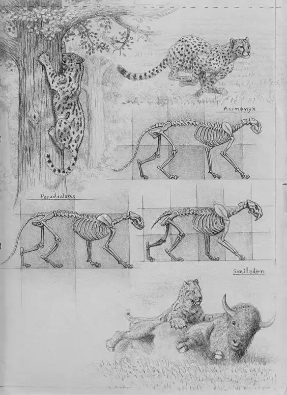 十种简笔画教程 简笔画教程一学就会