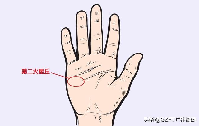 手相大师看手相（5分钟学会看手相）