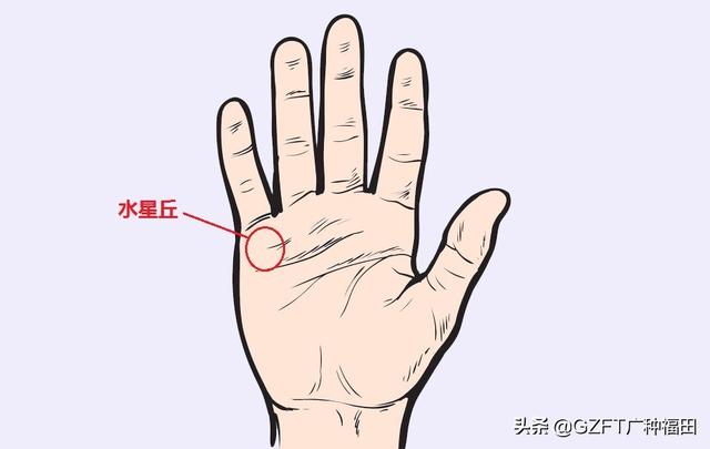 手相大师看手相（5分钟学会看手相）