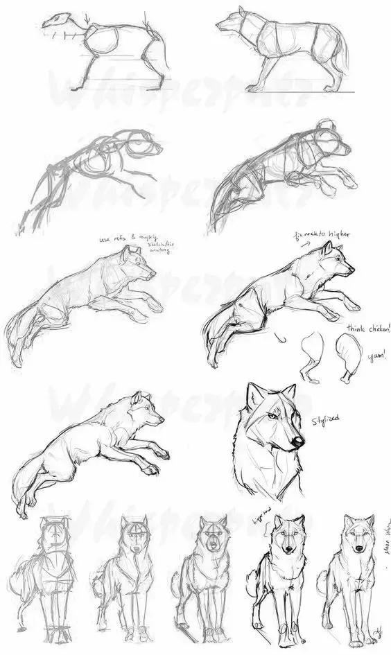 十种简笔画教程 简笔画教程一学就会
