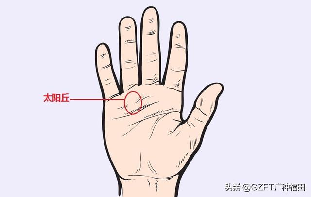 手相大师看手相（5分钟学会看手相）