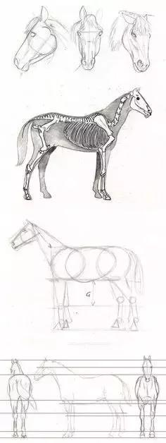 十种简笔画教程 简笔画教程一学就会