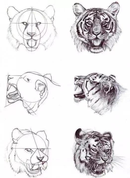 十种简笔画教程 简笔画教程一学就会
