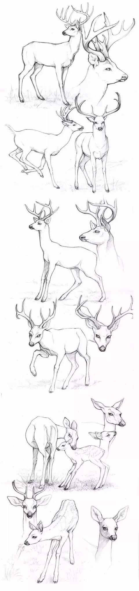 十种简笔画教程 简笔画教程一学就会