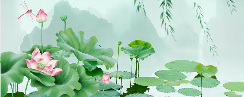 荷花别名