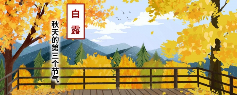玄鸟是什么鸟