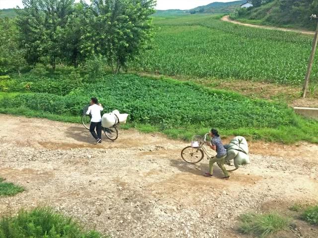 揭秘真实朝鲜（带你看看真实的朝鲜）