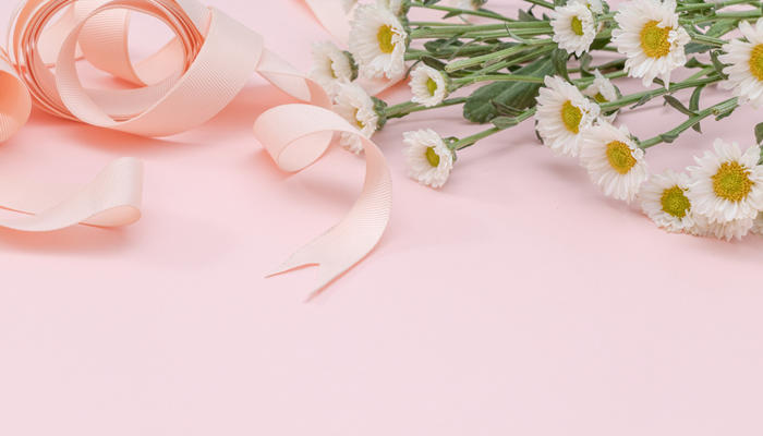 小雏菊的花语