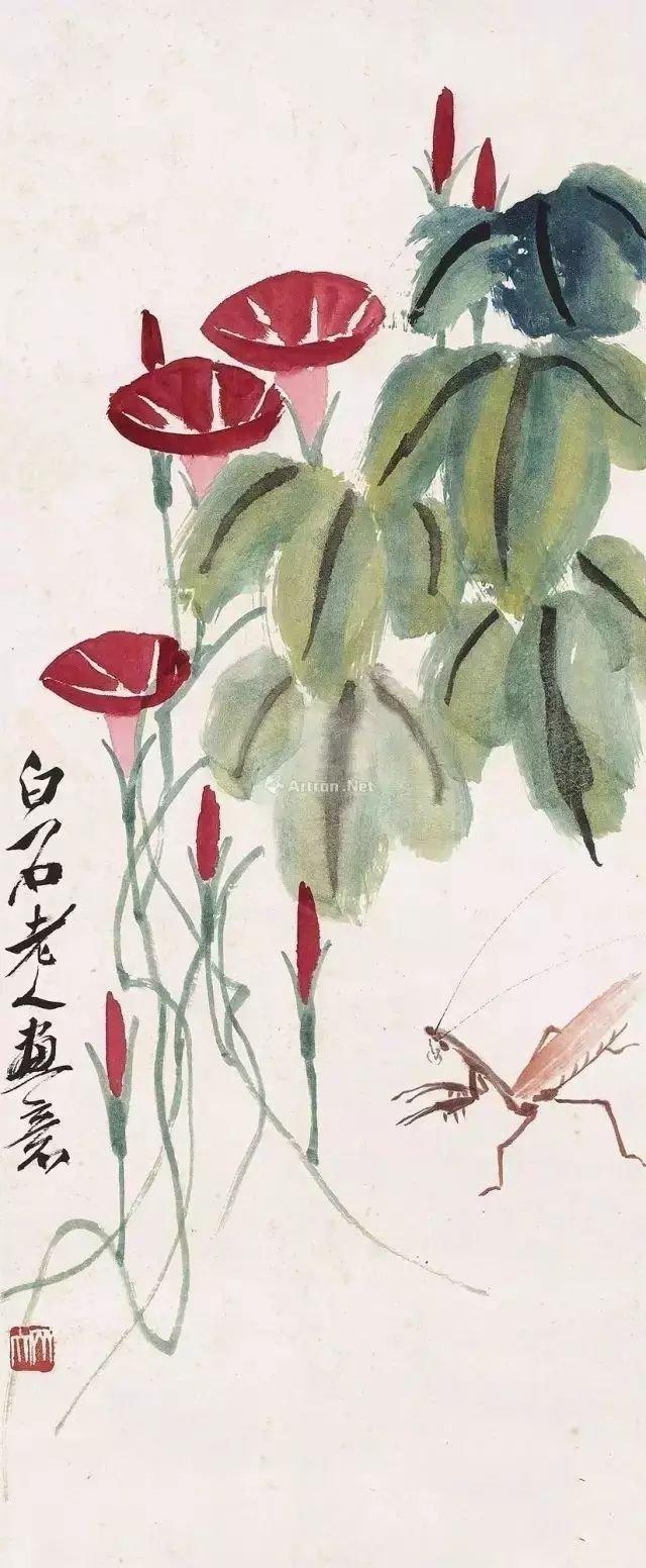 工笔国画牵牛花