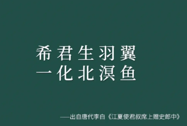 希君生羽翼一化北溟鱼是什么意思
