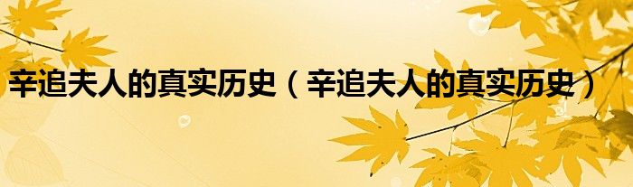 辛追夫人的真实历史