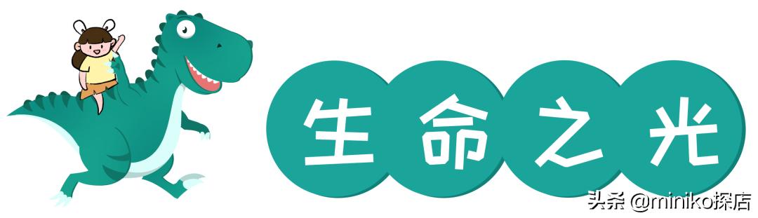 自贡方特恐龙王国哪些好玩（miniko游记）