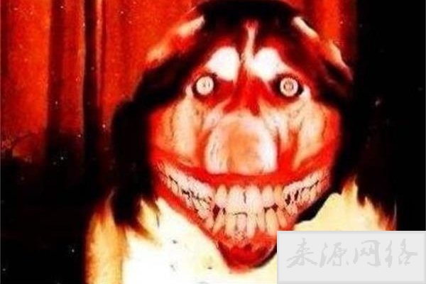 微笑狗事件原图为什么恐怖 背后的故事是这样的