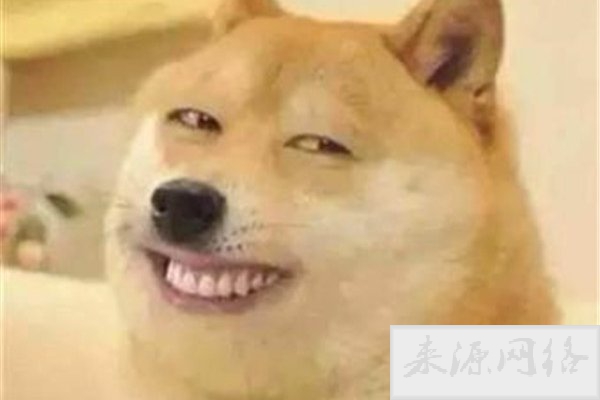 微笑狗事件原图为什么恐怖 背后的故事是这样的