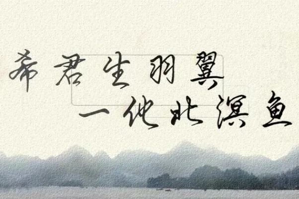 希君生羽翼一化北溟鱼是什么意思