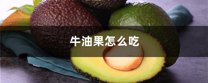 牛油果怎么吃正确方法