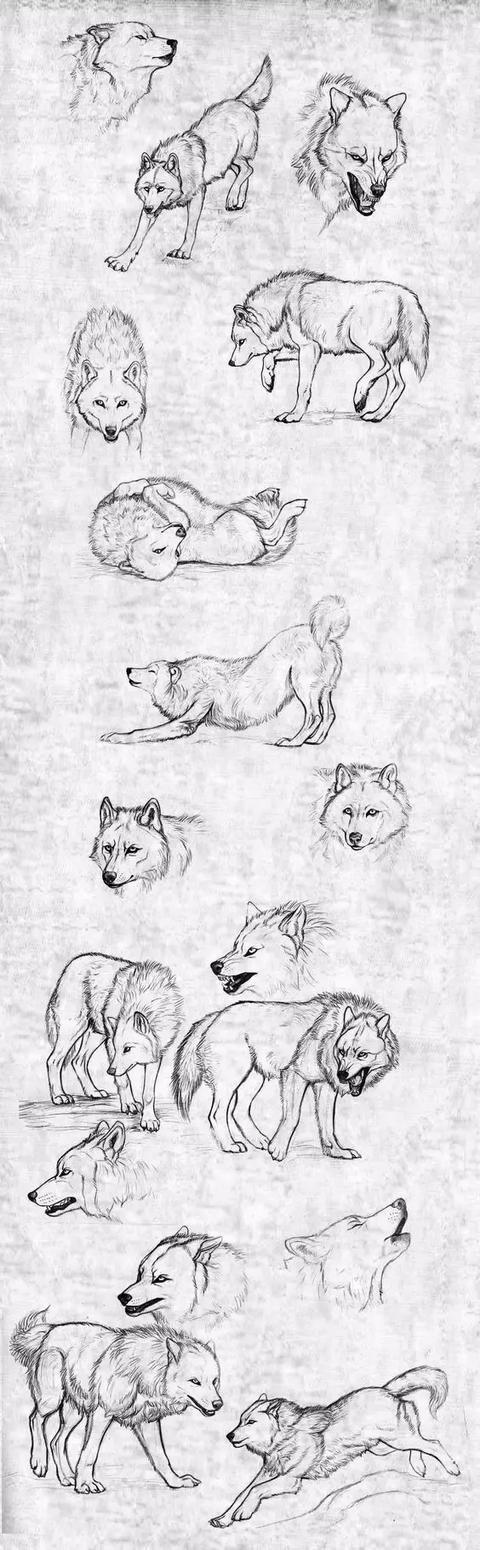 十种简笔画教程 简笔画教程一学就会