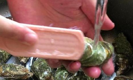 生蚝怎么开壳