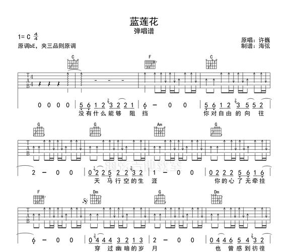 许巍蓝莲花歌词（歌曲蓝莲花歌词）