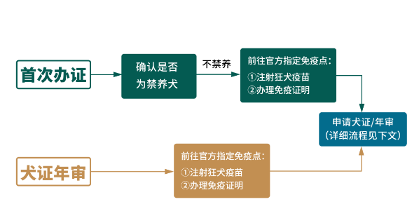 狗证怎么办理