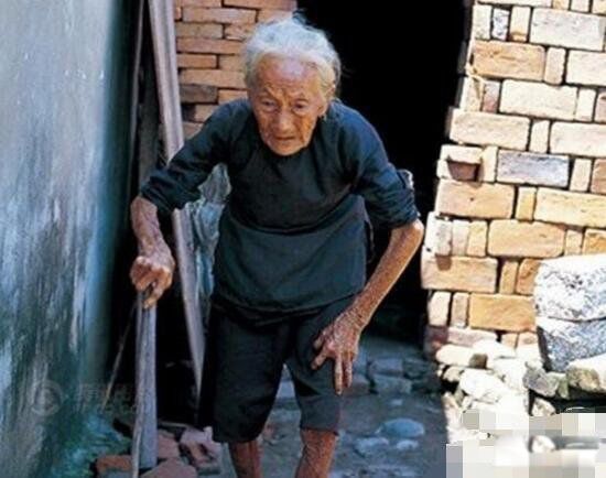 慰安妇是什么意思