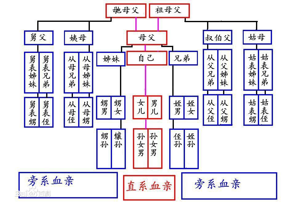 各种亲戚关系称呼表图